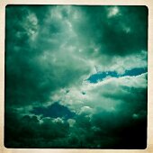IMG_0454