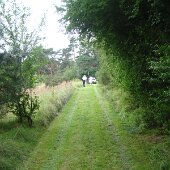 dsc01965