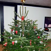 DSCF1426
