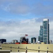 IMG_0032