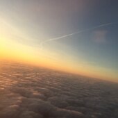 IMG_4161
