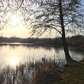 2016-03-26 17.05.03 HDR-2