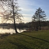 2016-03-26 17.06.59 HDR-2