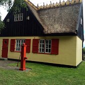 IMG_3878