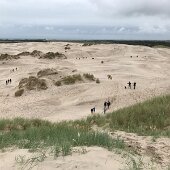 IMG_4572