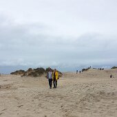 IMG_5221