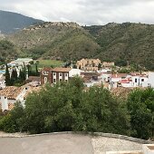 IMG_4552