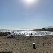 IMG_4553