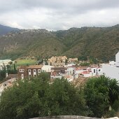 IMG_5135
