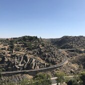 IMG_4664