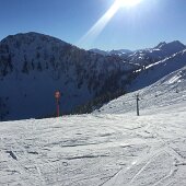 IMG_4301