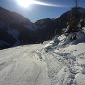 IMG_4314