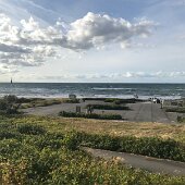 IMG_5396