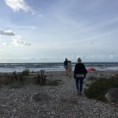 IMG_7023
