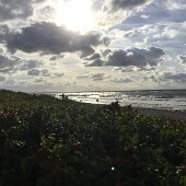 IMG_7028