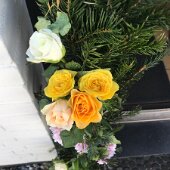 IMG_5281
