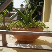 DSC04830