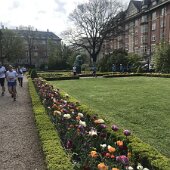 IMG_8124