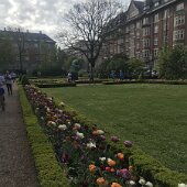 IMG_8125