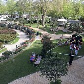 IMG_8129