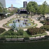 IMG_8130