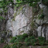 DSC05047