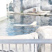 IMG_4703
