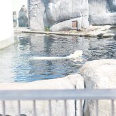 IMG_4704