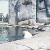 IMG_4706