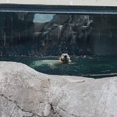 IMG_4714