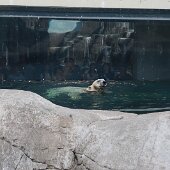 IMG_4715