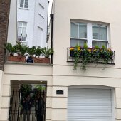 IMG_5784