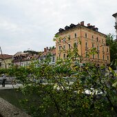 DSC05546