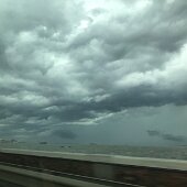 IMG_8611