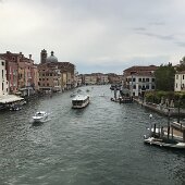 IMG_8617