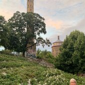 IMG_6886