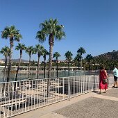 IMG_1635