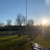 IMG_2429