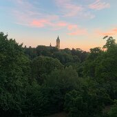 IMG_2742