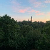 IMG_2743