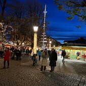 IMG_5461