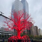 IMG_8861