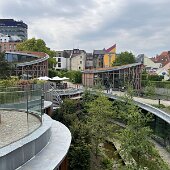 IMG_6158