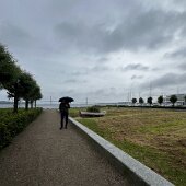 IMG_6365