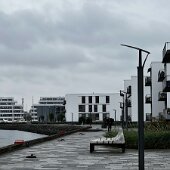 IMG_6366
