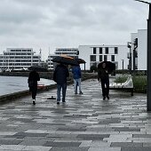 IMG_6367