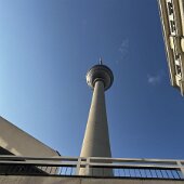 IMG_6887