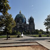IMG_6895