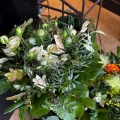 IMG_0027