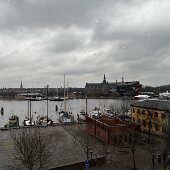 IMG_7739